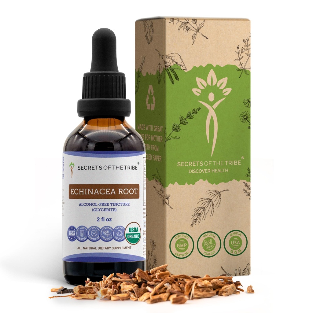 Echinacea Root USDA Organiczne nalewki 124; Ekstrakt wolny od alkoholu, Wysokiej Potliwości Ziołowe Krople, System immunologiczny Zdrowie 124; Wykonane z 100% Certified Organic Echinacea Root (Echinacea Purpurea) 2 oz