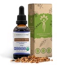 Echinacea Root USDA Organiczne nalewki 124; Ekstrakt wolny od alkoholu, Wysokiej Potliwości Ziołowe Krople, System immunologiczny Zdrowie 124; Wykonane z 100% Certified Organic Echinacea Root (Echinacea Purpurea) 2 oz