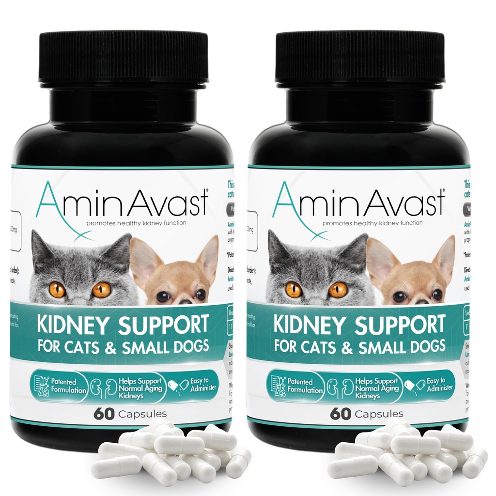 Aminavast Nerki Supplement Supplement for Cats and Small Dogs, 300mg 2- Pack - Promotes Natural Nerki Function - Aid in Health and Vitality of Aging Nerki - Easy Administrated - 60 Sprinkle kapsułki