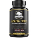 Szybkie aktorstwo, Organic Acacia Senegal Fiber Kapsułki 300pk. Naturalne rozpuszczalne Fiber Supplement Pill. Wegan Kapsułki prebiotyczne.