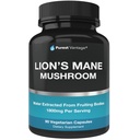 Organic Lions Mane Mushroom Kapsułki - 1800mg Lion 's Mane Mushroom Supplement Urosły w USA - Nootropowe uzupełnienie mózgu i wsparcie immunologiczne - Lions Mane Extract Powder - 90 Veggie Caps