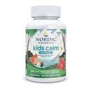 Nordic Naturals Kids Calm Gummies - Arbuz truskawkowy - 60 Gummies - Magnezu L- Theanine Supplement - Uspokojenie dla dzieci - Wsparcie relaksacyjne - Do 60 Służenia