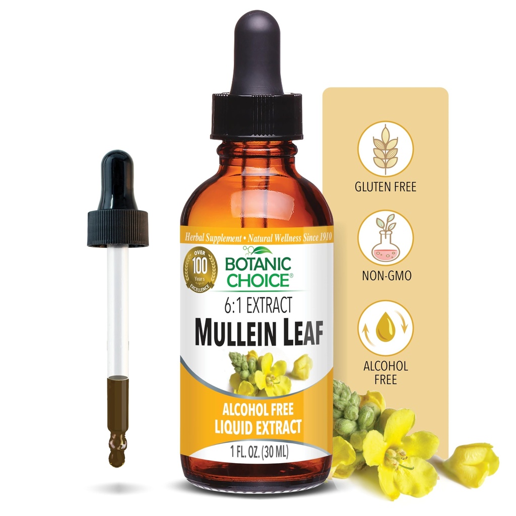 Botaniczny wybór Mullein Leaf Liquid Extract, Alkohol wolny, Gluten wolny, Tradycyjne wsparcie oddechowe 1 Fl. Oz.
