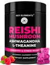 Natural Reishi Mushroom Gummies & L Theanine z Ashwagandha - Pothent Mushroom Supplements for Immune Support, Stress Relief & Poprawić Gummies Sen - Ashwagandha Gummies dla kobiet i mężczyzn