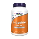 Teraz żywność L- Lysine 500 Miligramów, 250 tabletek