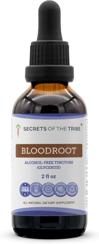 Sekrety Tribe Bloodroot Tincture-Free Alcohol Extract, Odpowiedzialnie hodowlany Bloodroot (Sanguinaria Canadensis) Suszony Root Tincture Supplement (2 FL OZ)
