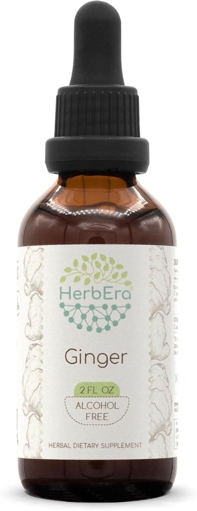 HerbEra Ginger B60 Wyciąg ziołowy wolny od alkoholu nalewka, Ginger skoncentrowana (Zingiber officinale) 2 fl oz