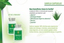 Nutrisalud Products Capsulas de Savila, Aloe Vera Capsuls 500 mg. Set de 2 frascos 100 Capsulas CADA un.Efectivo Contra ulceras, agruras, mala Diestion, Colitis, estreñimimiento. Dura mas de 3 Meses.