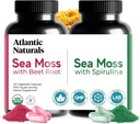 Atlantic Naturals Sea Moss Superfood Bundle - Sea Moss with Beet Root & Spirulina Kapsułki - Wsparcie obronne, Przepływ krwi, Joint Health & Iron - 240 Kapsułki (2 x 120 ct)