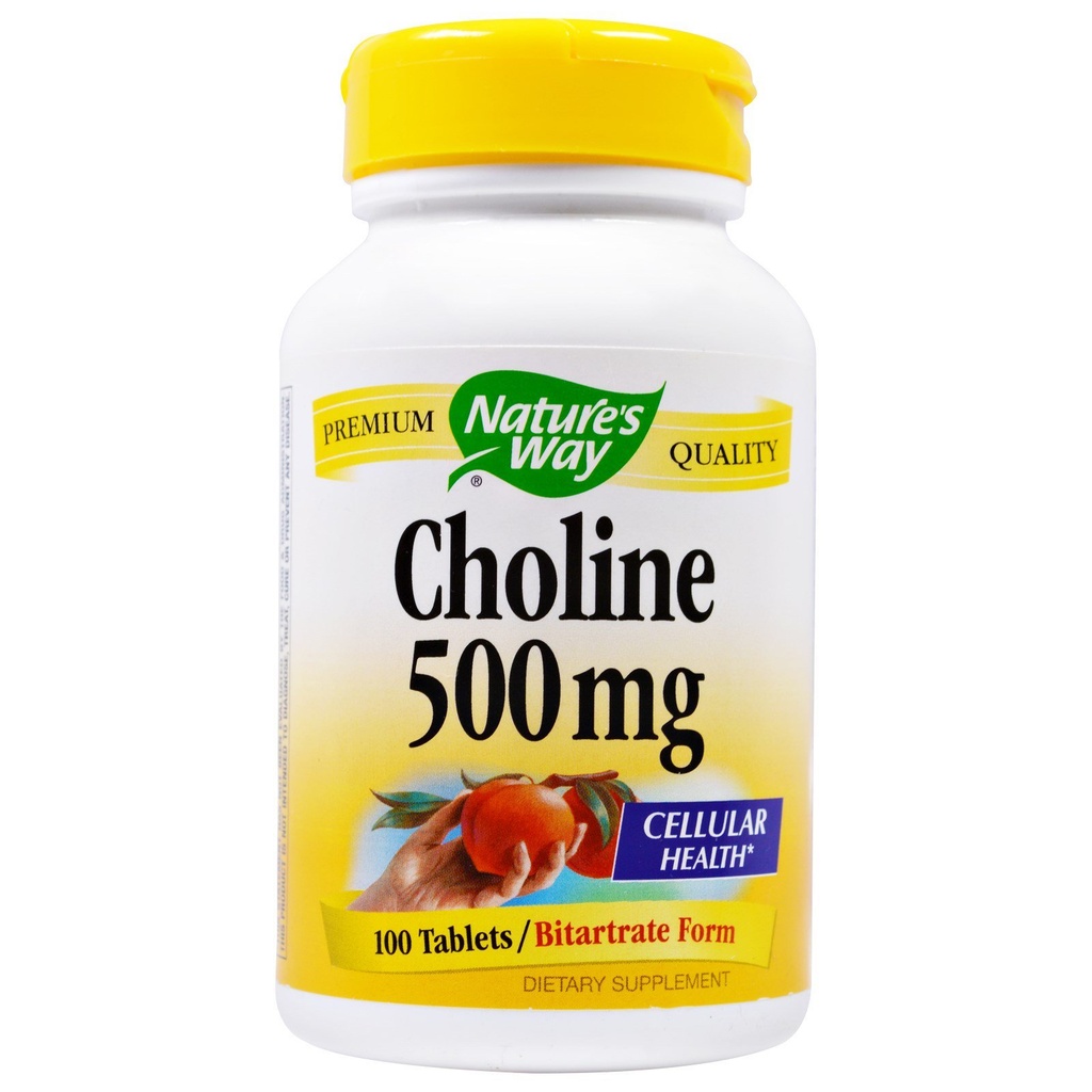 Droga natury Cholina 500mg 100 tabletek