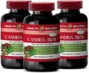 Suplement wsparcia odporności - Candida Away Plus - Candida Digestive - Candida Cleanse Extra Force - Digestive Pill - Candida Cleanse for Women and Men - Candida Overgrowth - 3 butelki 180 kapsułek
