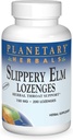 HERBATY PLANETARNE Slippery Elm Lozenges, Unflavored, 200 Hrabia
