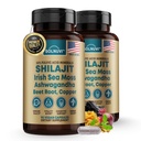 Shilajit Pure Himalayan Organic Kapsułki z irlandzkiego Moss Sea, Ashwagandha, Miedź, Beet Root - Fulvic Acid Trace Minerals Supplement for Men & Women - 90 Count, Non-GMO, Gluten- Free