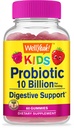WellYeah Probiotyka dla dzieci Gummies -10 Miliard CFU - dla Gut Health, Immune Health and Digestive Supplement - Berry Flavor Chewable Supplement - Wegan, Nie GMO, Gluten Free Kids Probiotic -60 Gummies