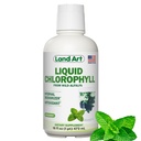 Land Art - Liquid Chlorophyll Mint - Cold- Extended from Wild Non-GMO Alfalfa - Natural Clorofila Liquida - Antioksydant - Detox Supplement - Boost Energy - Alkalizing & Body Odor Neutralizer - 16 floz