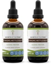 Secrets of the Tribe Stinging Nettle Root Tincture Alcohol Extract, High-Potency Herbal Drops, Tincture Made from Stinging Nettle Urtica Dioica Research and Urnary System Health 2x4 oz