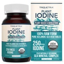 Organiczny suplement jodu z Sea Vegetable Complex, Whole Food & Raw Form - Jod Plus Trace Mineral Complex - Zawiera najczystsze Islandzkie Sea Kelp, Irish Moss & Bladderwrack (250 µg)
