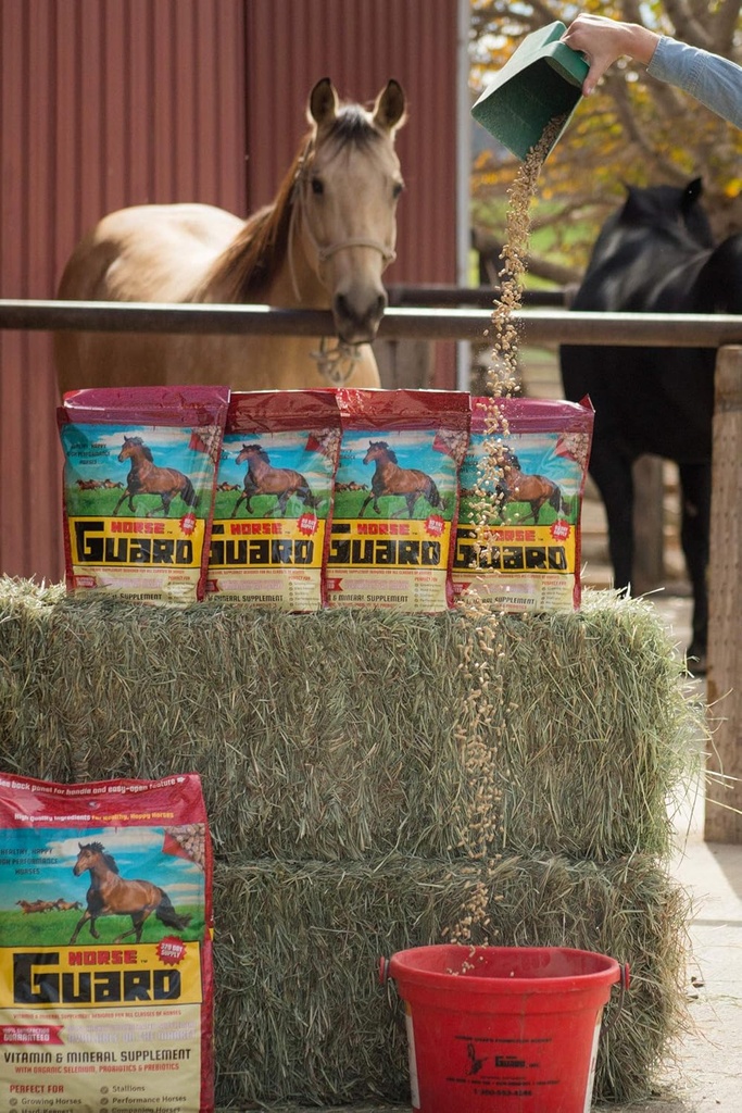 Horse Guard 4,6 lb, Equine witamina suplement mineralny z organicznym selenu i witaminy E