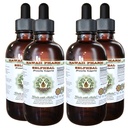 Selfhery Alcohol- Free Liquid Extract, Organic Selfhery (Prunella Vulgaris) Suszony Herb Glycerite Natural Herbal Supplement, Hawaii Pharm, USA 4x4 fl.oz