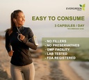 Evergreen Herbs Supplement Herbal Capsules 90 Count (Senna Leaf) - Tamper Proof Seal aby zapewnić świeżość.