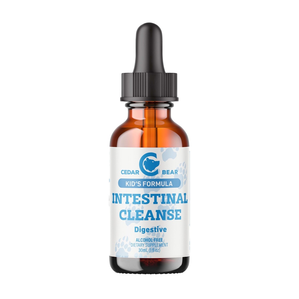 Cedar Bear - oczyszczalnia jelit dla dzieci, płynny suplement ziołowy dla detox i oczyszczanie trawienne z naturalnych ziół, bez alkoholu Gut Cleanse Drops dla dzieci, 1 fl oz / 30 ml