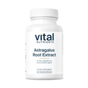 Vital Nutrigents - Astragalus Root Extract - Vegan Formula - Herbal Support for The Immune System - 90 Kapsułki wegetariańskie na butelkę - 300 mg