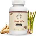 Kwas & Niestrawność Relief, Bezpieczny Antacid Alternatywa dla Okazjonalnej Restrukcji Kwasu & Heartburn, Ginger, Curcumin, Spearmint & More - Phd Doctor- Scenated & Clincially- Studied - 30 Służenie