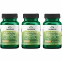 Swanson Lactobacillus Rhamnosus with FOS - Probiotic Supplement Supports Digestive Health - 5 Billion CFU - Promotes GI Tract Health Podczas podróży - (60 Veggie Caps) 3 Pack