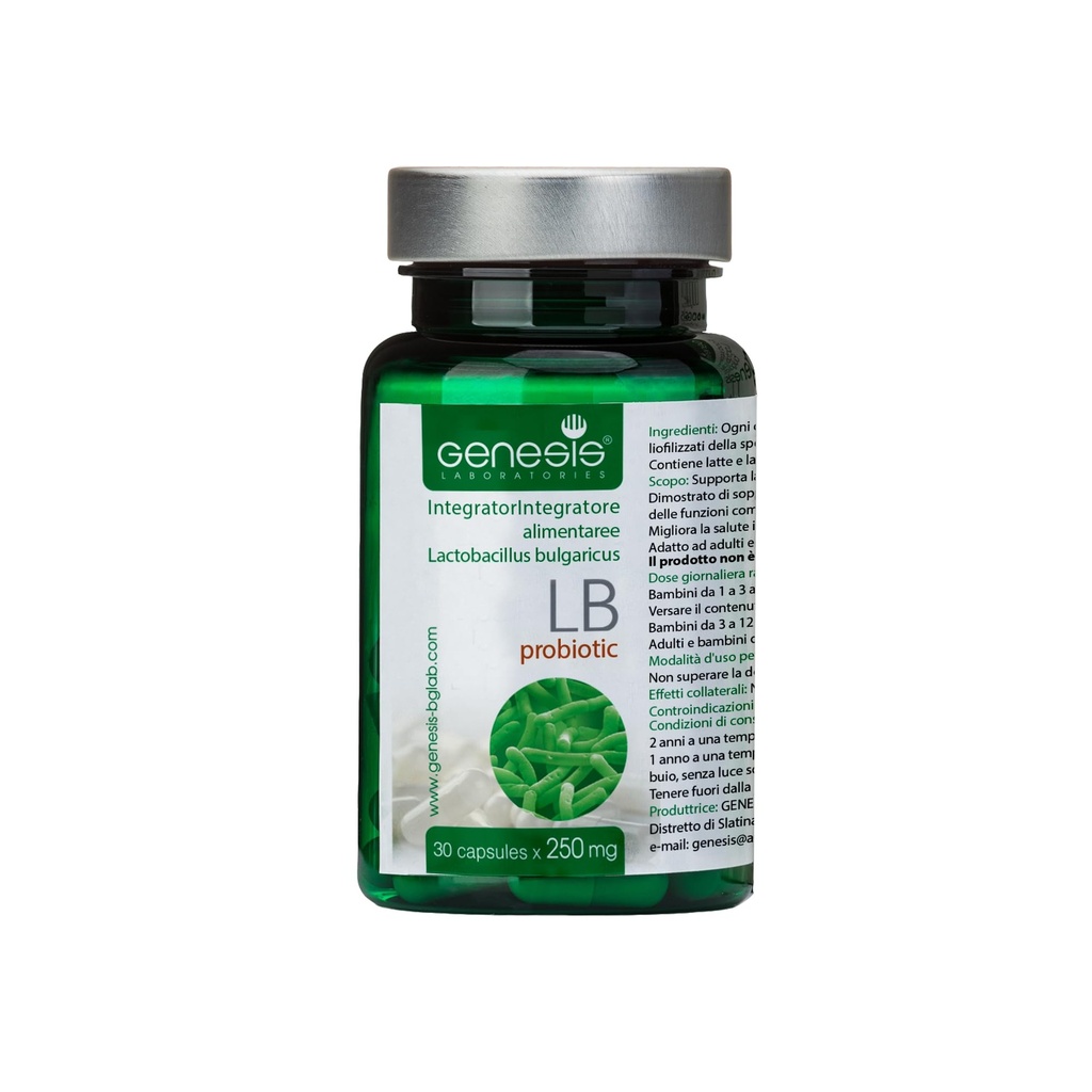 Probiotyczne Lactobacillus Supplement 30 Kapsułki z Lactobacillus Bulgaricus 250 mg Probiotic Digestive Immune Support Gut Health Probiotics for Digestive Health Anti Bloating