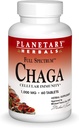 Planetarne Herbals Chaga Full Spectrum, Zwiększenie odporności komórek, 60 tabletek