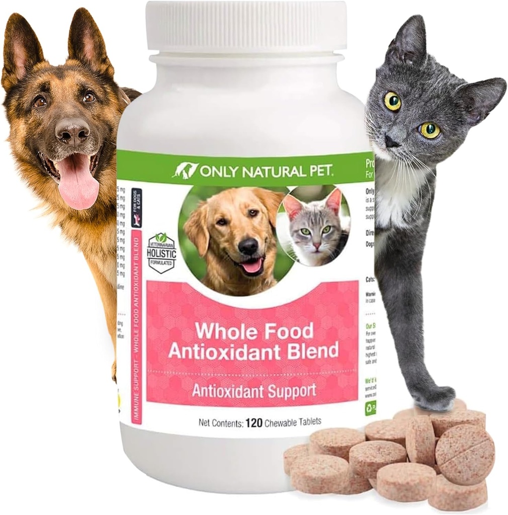 Tylko naturalny Pet Whole Food Przeciwutleniacz Zielona herbata & Berry Przeciwutleniacz Suplement witaminy dla psów, do wsparcia zdrowego systemu immunologicznego, Walka wolna Radykalne uszkodzenia - 60 Soft Chews