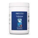 Alergia Grupa Badawcza Celluloza Proszek - Mikrokrystaliczna Celuloza Proszek, 2000mg Nierozpuszczalny Fiber Suplement, Proszek Celuloza, Nie-Fermentowalne, Hipoalergiczne - 8.8 Oz