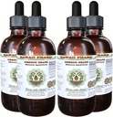 Hawaii Pharm Oregon Grape Free Liquid Extract, Oregon Grape (Mahonia aquifolium) Suszony glicerol korzeniowy Natural Herbal Supplement, USA 4x4 fl.oz