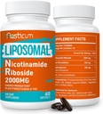 2000 MG Liposomal Nikotynamid Riboside Supplement z TMG & Pterostilbene, Wysoka dostępność biologiczna NAD + suplement booting, Superior Niacynamid for Energy, Immunitet, Opór wieku, 120 Softgels