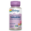 SOLARAY Turmeric Supplement 300 mg - Turmeric Root Extract with 95% Curcumin - Joint Supplement for Joint Health and Comfort - Non-GMO, Vegan, Gluten Free, 60- Day Guarantee, 60 Servings