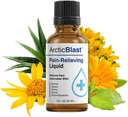 N Labs Arctic Blast Premium Topical Pain Relief Drops - Szybkie pochłanianie DMSO, Menthol & Camphor for Back, Knee, Shoulder, Joint & Muscle Pain - Cooling Rub Formula - Made in USA - 1 fl oz