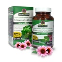 Odpowiedź natury Echinacea & Goldenseal 124; Suplement diety 124; Wspiera zdrowy system immunologiczny 124; Non- GMO & Kosher Certyfikowane 124; Kapsułki wegetariańskie / wegańskie 90ct