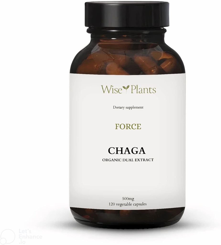 Chaga Mushroom Supplement. Dual Extract, Pure Fruiting Body, 30% Polisacharydy, 500 mg, 120 wegecaps (120- Day Supply). Może wspierać zdrowe trawienie, funkcje immunologiczne i promować zdrowie serca.