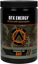 BFX Energy Pre Workout Powder Supplement (BlackBerry Lemonade) z BCAA, Electrolytes, i Green Tea Leaf do naturalnej kofeiny, Intra i Post Workout Odzysk mięśni, 30 Służenia