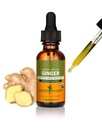 Herb Pharm Certified Organic Ginger Liquid Extract for Digestive Support - 1 unce