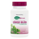 Nature Plus Herbal Actives Ginkgo Biloba, Rozszerzone wydanie - 120 mg, 60 Wegańskie tabletki - wegetariańskie, Gluten- Free - 60 Servings