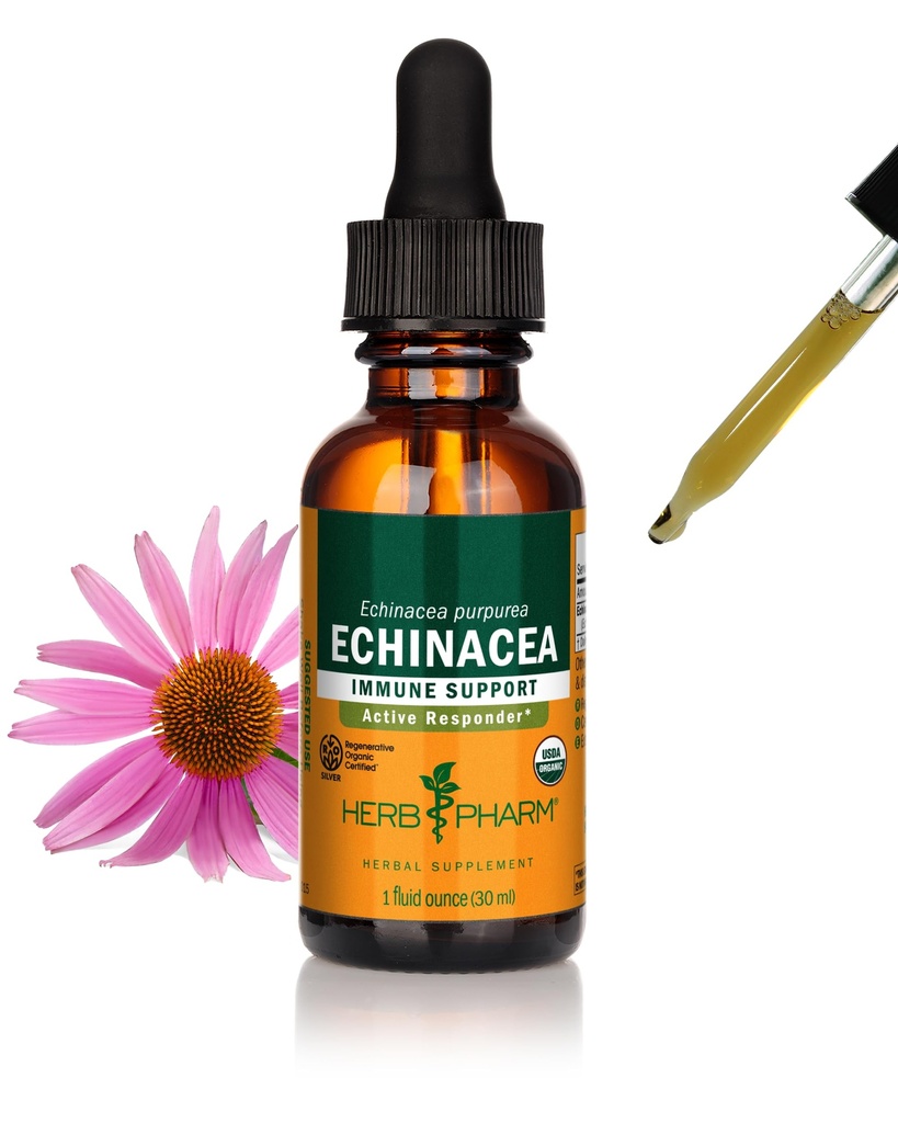 Herb Pharm Certified Organic Echinacea Liquid Extract for Immune System Support, Organic Cane Alcohol, 1 unce (DECH01)