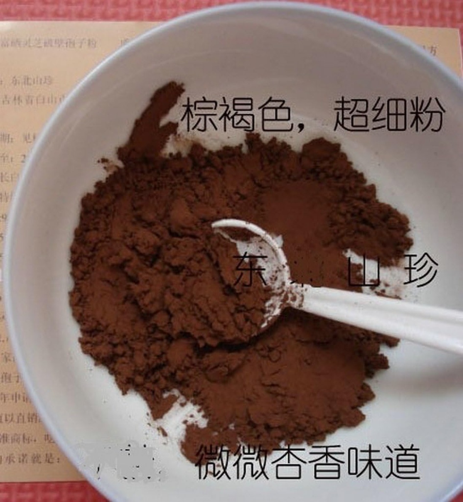 Duan- Wood 98% Skorupiak LINGZHI Ganoderma Reishi Spore Proszek 100Grams (3.5 oz.) Opakowanie próżniowe