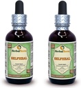 Selfhery (Prunella Vulgaris) Glicerite, Organic Dried Herb Free Alcohol Liquid Extract (Nazwa firmowa: HerbalTerra, Proudly made in USA) 2x2 fl.oz (2x60 ml)