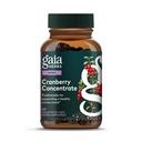 Gaia Herbs Koncentrat żurawinowy - Pomaga utrzymać Trakt moczowy Zdrowie - Wyciąg z organicznego soku owocowego żurawiny w wygodnych kapsułkach - 60 Vegan płynnych Kapsułki (30- Day Supply)