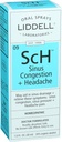 Liddell Homeopatyczne zatory zatokowe i ból głowy Spray, 1 Ounce Płynne
