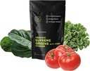 Organiczne Superfood Zielone Proszek z MSM, dla Gut Health, trawienie, Wsparcie immunologiczne, Energia, i więcej (Bez cukru, Non-GMO, Keto, Wegan), 60 Sługi, 30 Day Supply