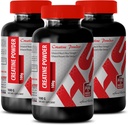 Body Builder for Men - Proszek CREATINE 100G - Bułka z masłem - 3 butelki (Proszek)