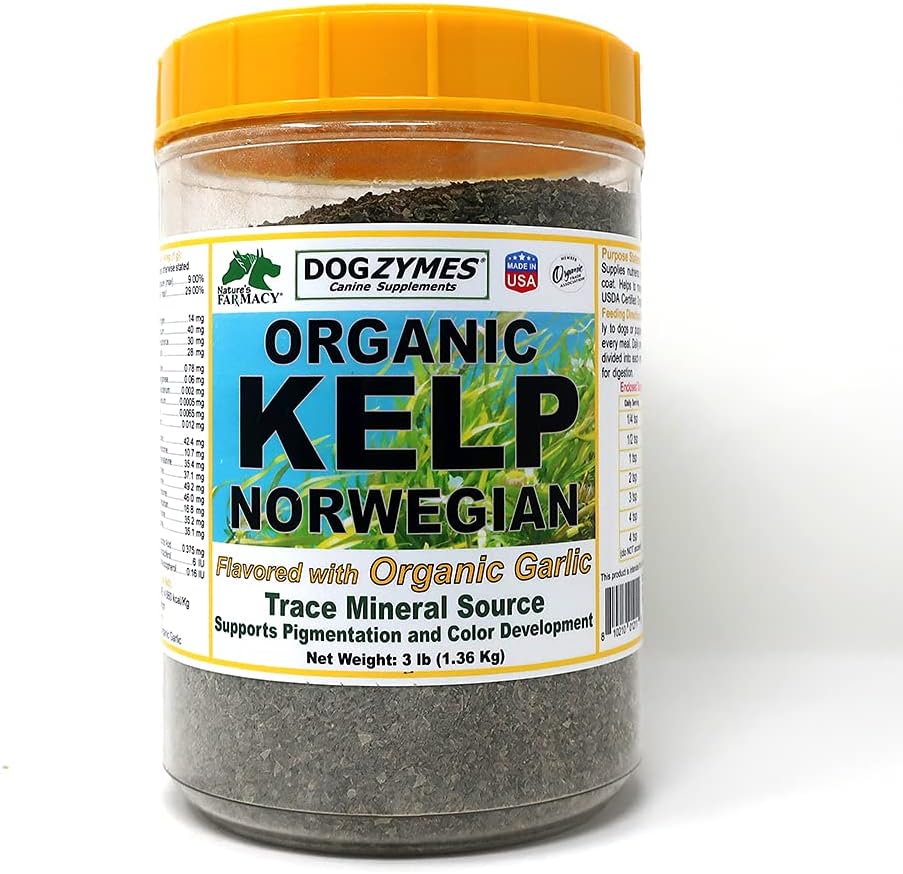 Dogzymes Organic Norweski Kelp wzmocniony czosnkiem (3 funt)