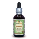 Ashwagandha (Withania Somnifera) Gliceryt, Organiczny suszony alkohol korzenny wolny od cieczy ekstrakt 2 oz